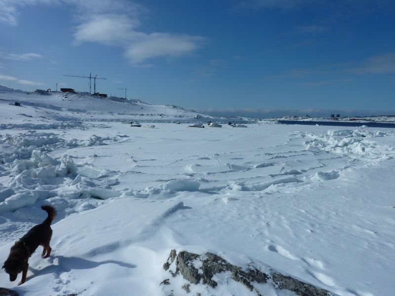 2012-03-14-1258_-_djanco_nyis