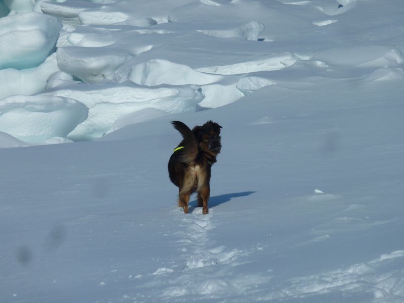 2012-03-20-1141_-_djanco