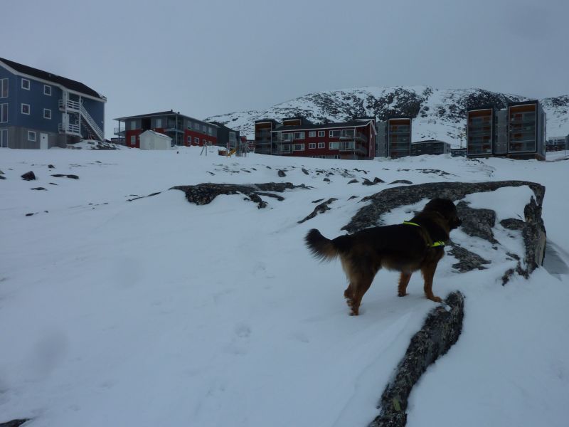 2012-03-23-1552_-_djanco_pupik