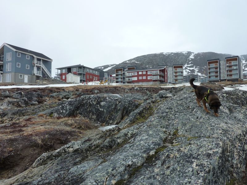 2012-04-30-1249_-_pupik