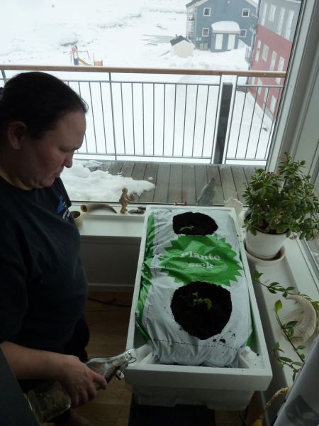 2012-03-26-1621_-_agurkeplante_maren_mikkelsen_lennert