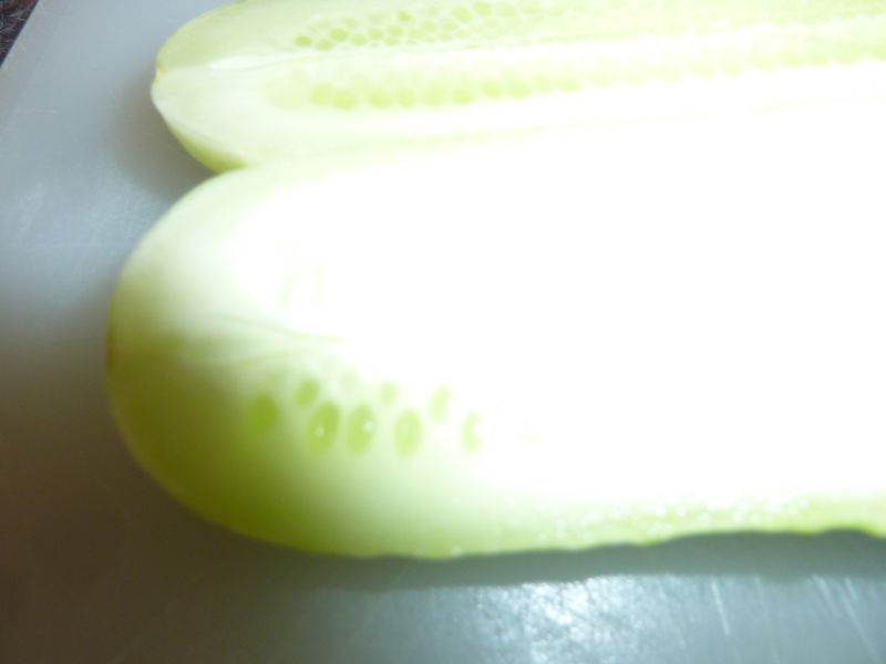 2012-05-22-1645_-_agurk_3