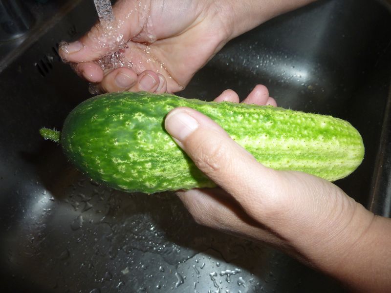 2012-05-27-1321_-_agurk