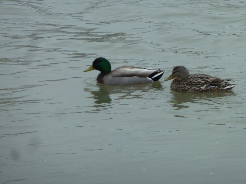 2012-05-16-1215_-_and_2