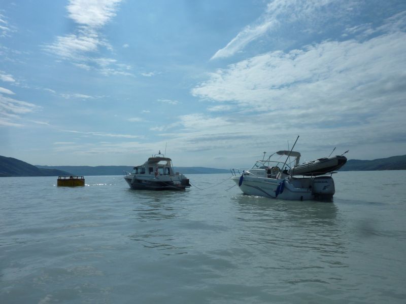 2012-06-20-1428_-_imzadi_thedora_kiruna