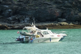 2012-06-19-1952_-_imzadi_thedora_kiruna