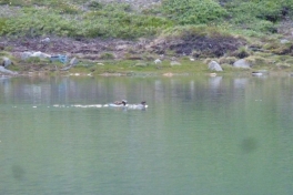 2012-06-19-2235_-_and_2
