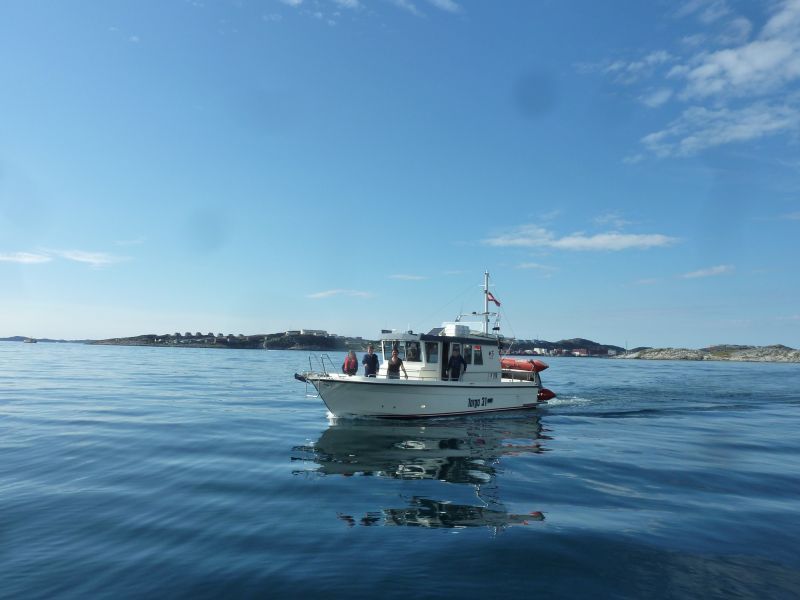 2012-06-28-1743_-_martha_labansen_mille_lage_labansen_oliver_lage_labansen_ruder_3_sebastian