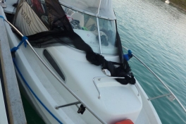 2012-06-29-2307_-_imzadi