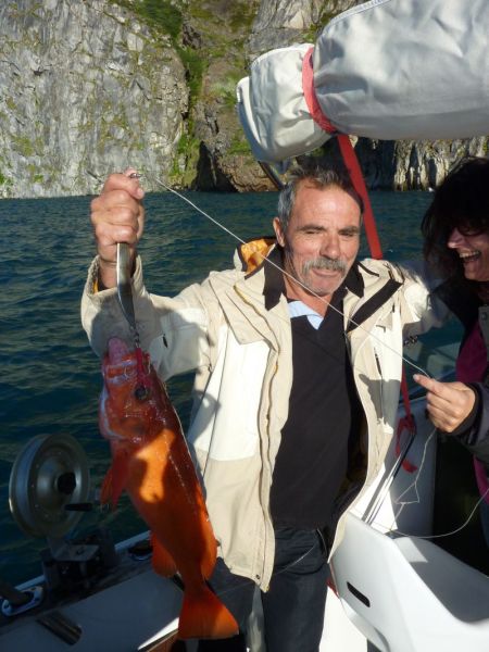 2012-07-16-1915_-_roedfisk