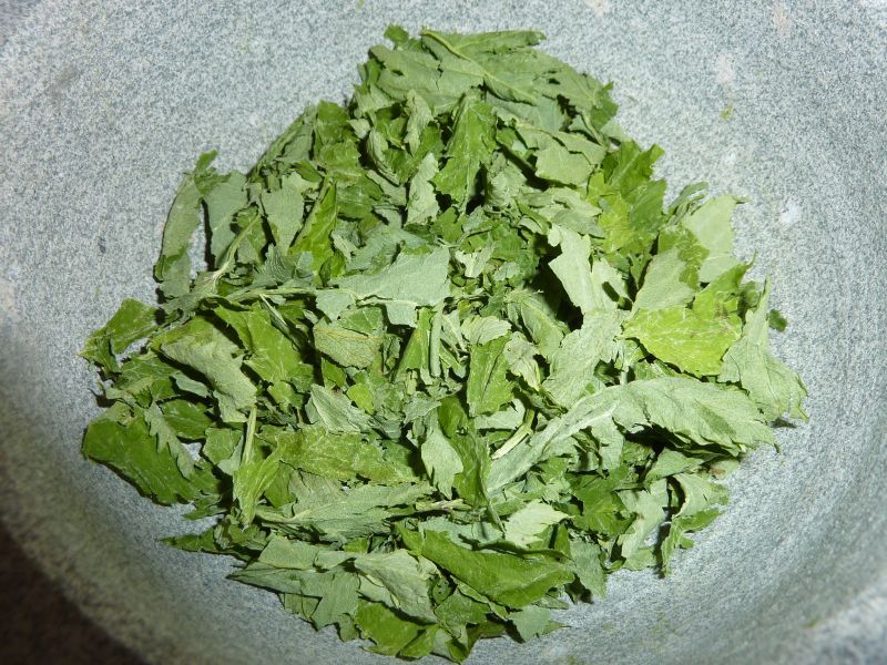 2012-07-28-1430_-_kvan