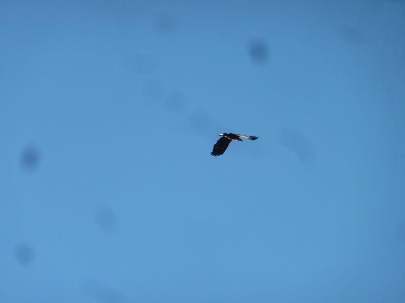 2012-08-10-2014_-_oern