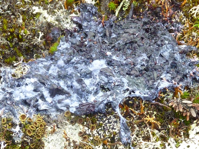 2012-08-11-1147_-_