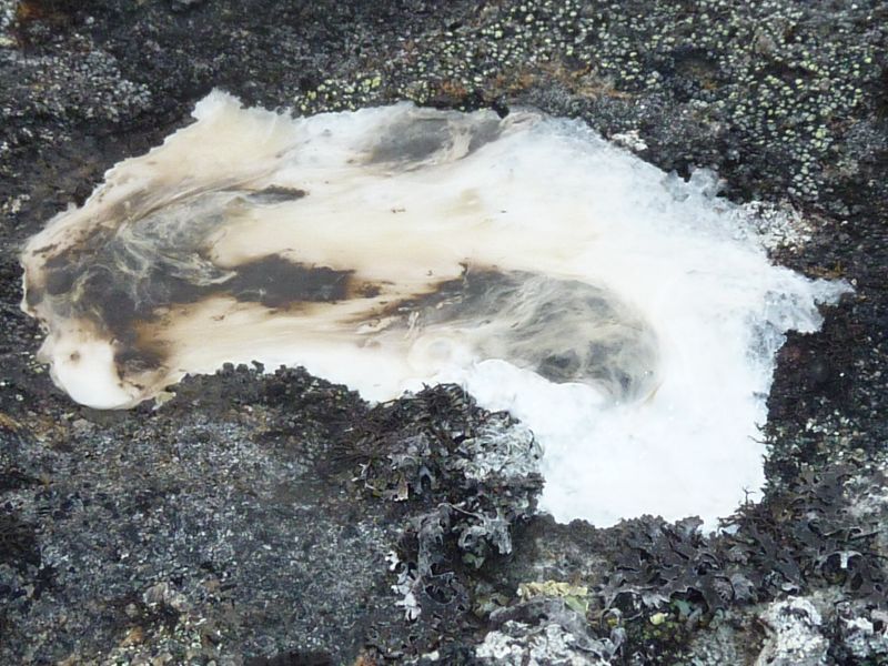 2012-08-11-1147_-_-_2