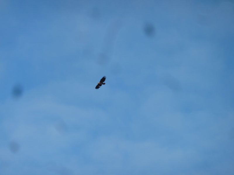 2012-08-11-1903_-_oern