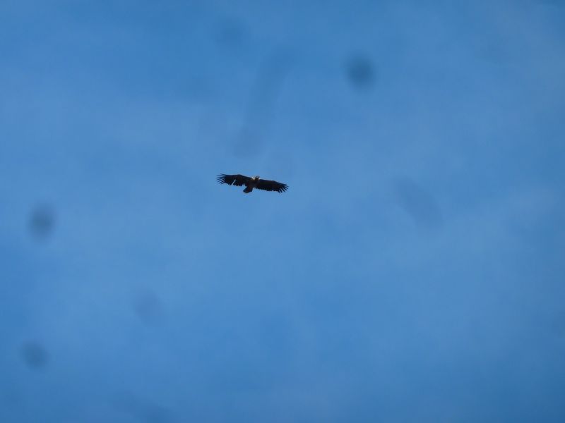 2012-08-11-1903_-_oern_2