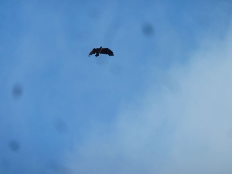 2012-08-11-1903_-_oern_3