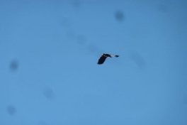 2012-08-10-2014_-_oern