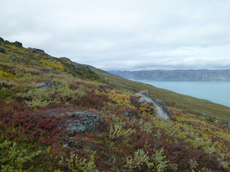 2012-08-25-1228_-_