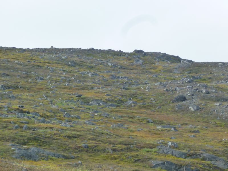 2012-08-25-1250_-_-_2