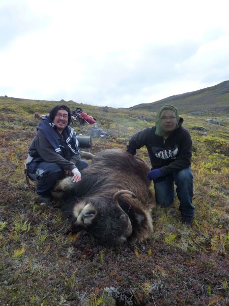 2012-08-25-1511_-_gunnar_alu_petrussen_moskus_richard_petrussen_trofae