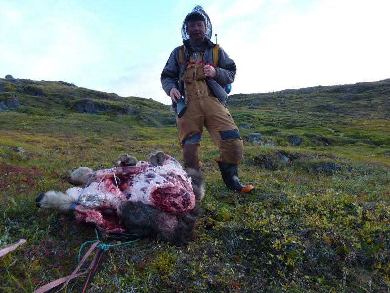 2012-08-25-1948_-_bylt_moskuskoed_soeren_labansen