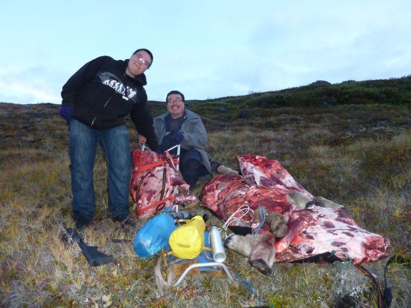 2012-08-25-2120_-_bylt_gunnar_alu_petrussen_moskuskoed_richard_petrussen