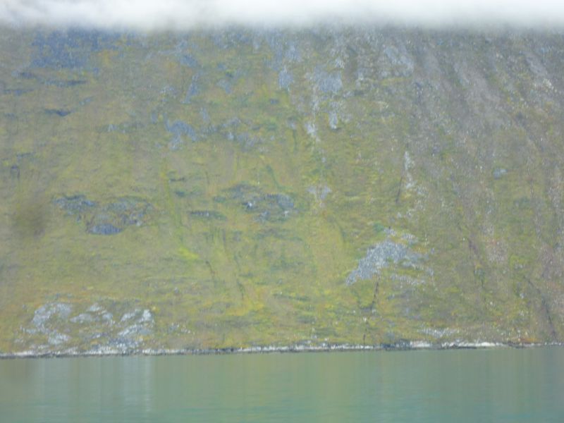 Stenskred