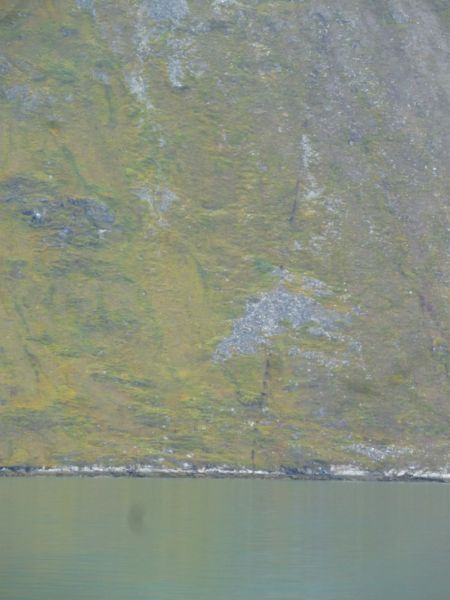 2012-08-26-1120_-_-_3