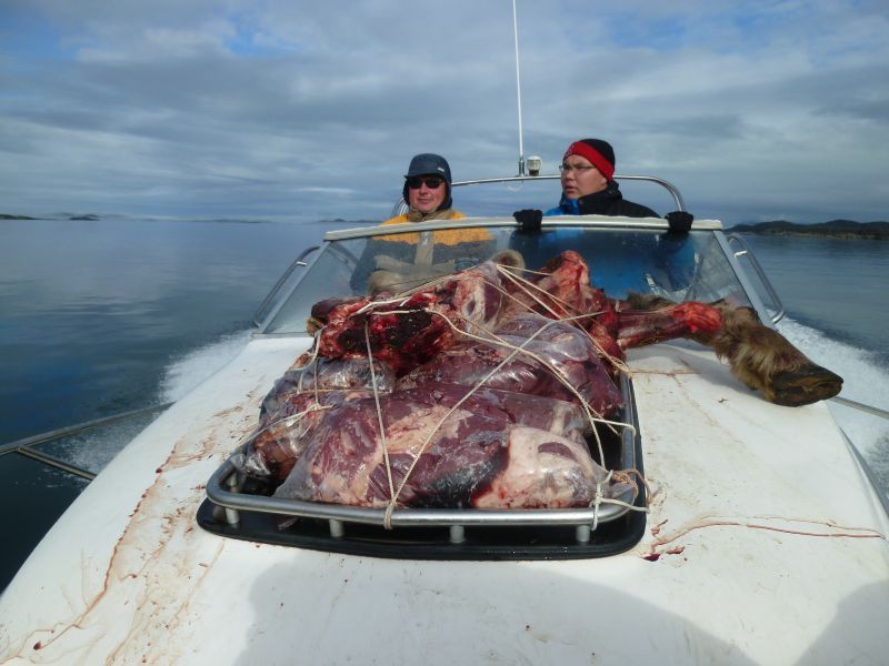 2012-08-27-1033_-_moskuskoed_richard_petrussen_soeren_labansen_2