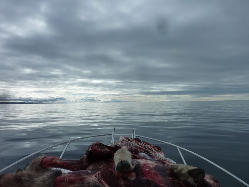 2012-08-27-1158_-_moskuskoed