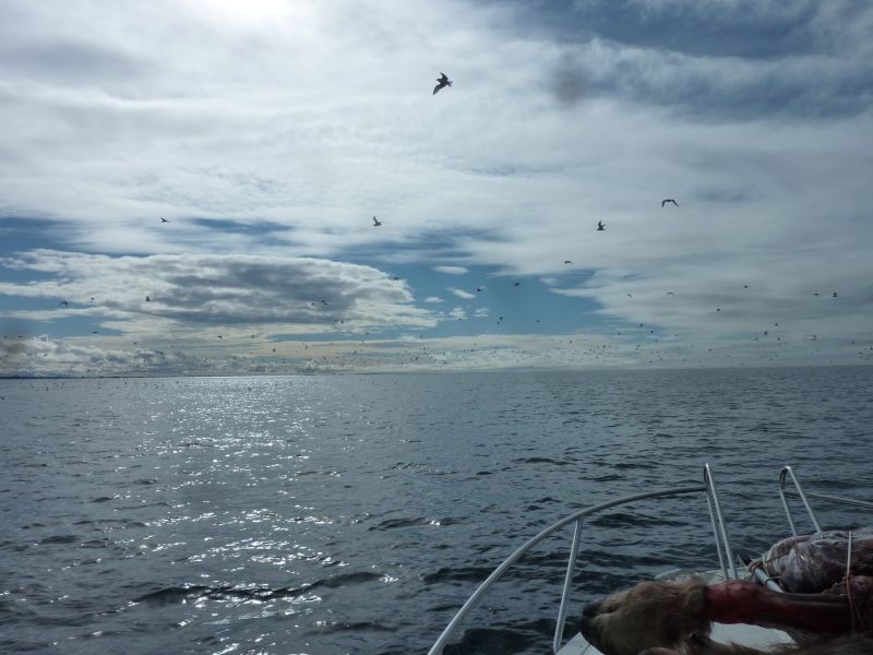 2012-08-27-1229_-_
