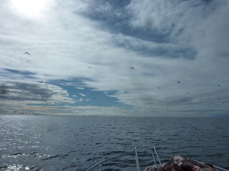 2012-08-27-1229_-_-_2
