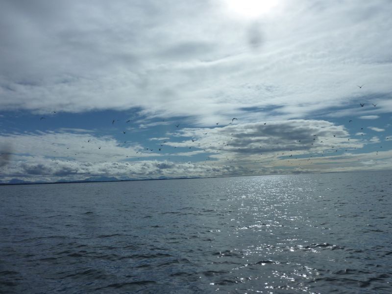 2012-08-27-1229_-_-_3