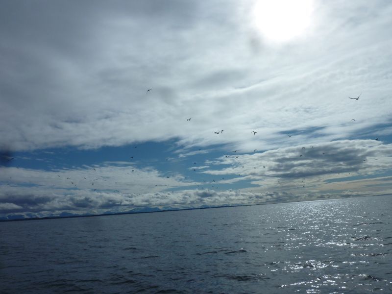 2012-08-27-1229_-_-_4
