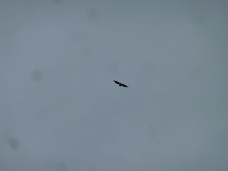 2012-10-14-1120_-_