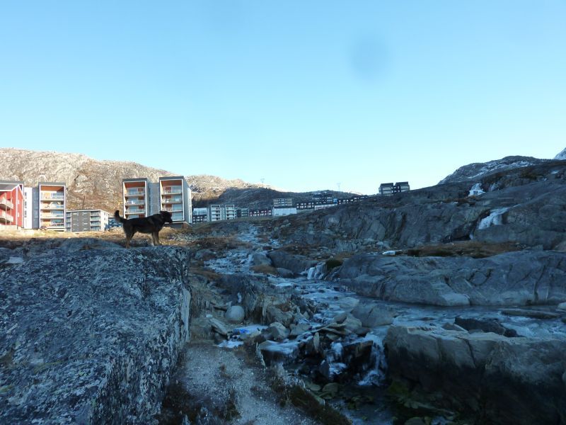 2012-10-11-1143_-_djanco