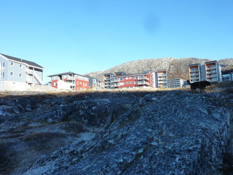 2012-10-11-1143_-_djanco_pupik