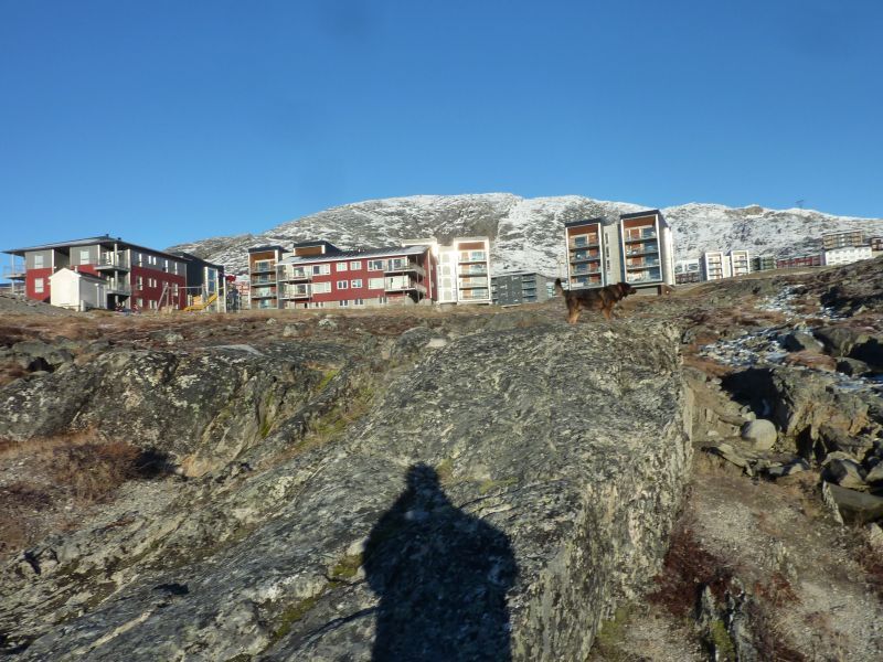 2012-10-31-1422_-_djanco_pupik