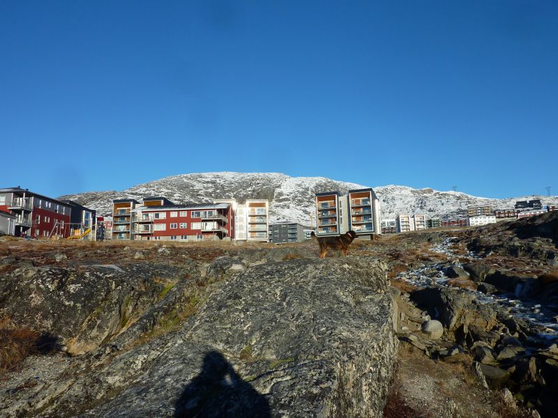 2012-10-31-1422_-_djanco_pupik_2