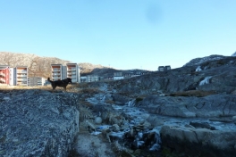 2012-10-11-1143_-_djanco