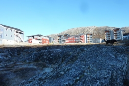 2012-10-11-1143_-_djanco_pupik