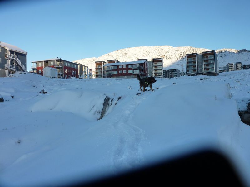 2012-11-16-1313_-_djanco_pupik