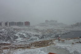 2012-11-13-1454_-_udsigt_fra_altan