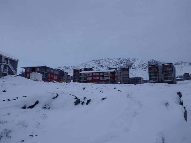 2012-12-10-1602_-_pupik