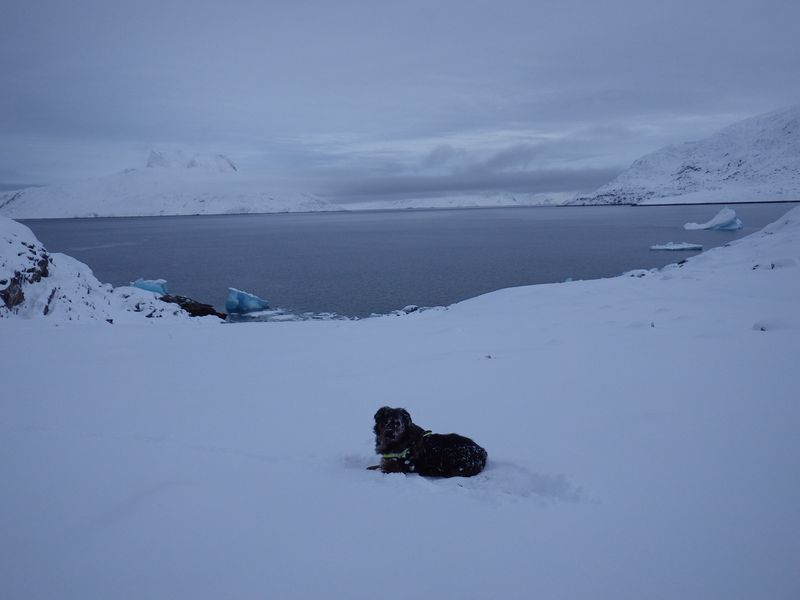 2012-12-12-1627_-_djanco_sermitsiaq