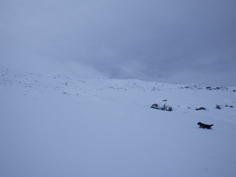 2012-12-12-1630_-_