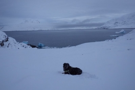 2012-12-12-1627_-_djanco_sermitsiaq