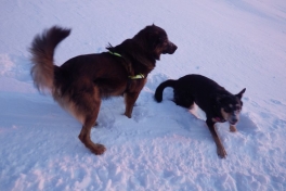2012-12-27-1823_-_djanco_quna
