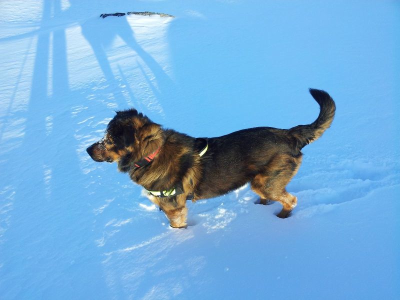 2013-02-15-1400_-_djanco_2